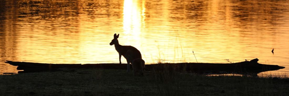 Australian Walkabout