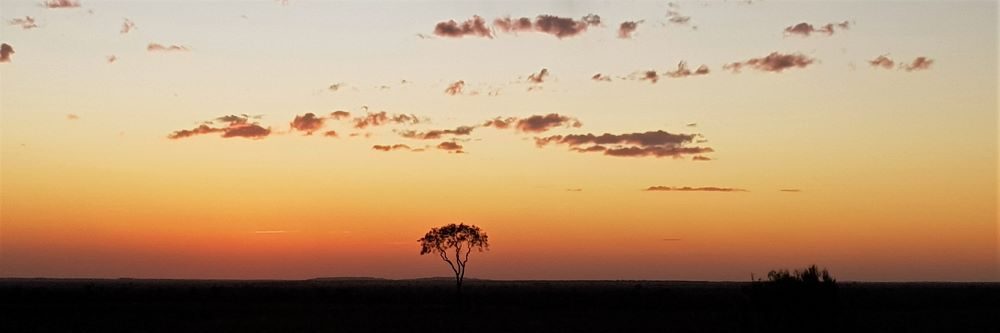 Australian Walkabout